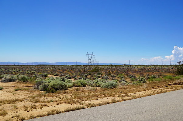 Backus.Rd.West.Willow.Spring.End.29