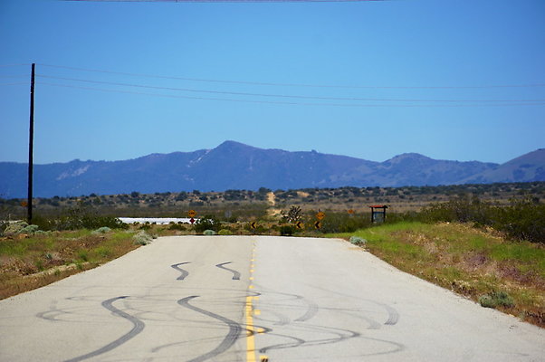 Backus.Rd.West.Willow.Spring.End.34