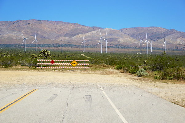 170th.No.Rosamond.Starbuck.68 170th.No.Rosamond.Starbuck.68