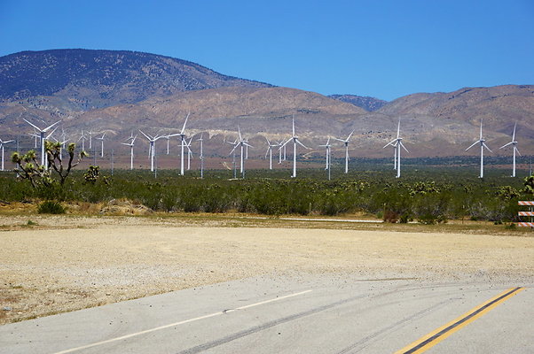 170th.No.Rosamond.Starbuck.67 170th.No.Rosamond.Starbuck.67