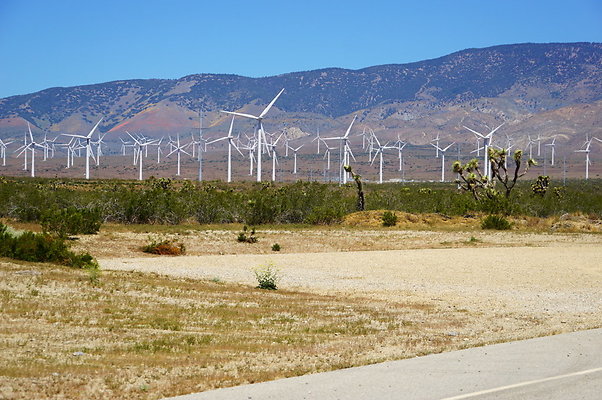 170th.No.Rosamond.Starbuck.66 170th.No.Rosamond.Starbuck.66