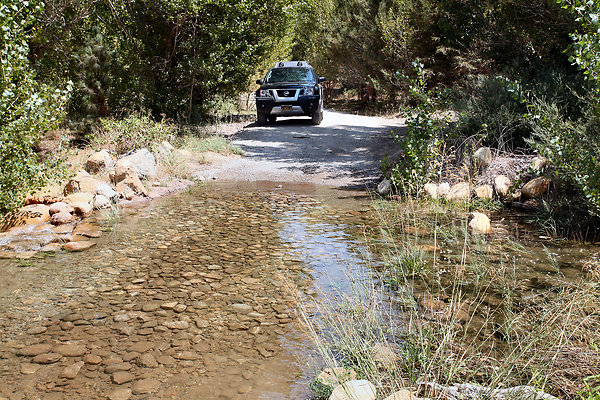 Gor.Pine.Lake.Stream.14