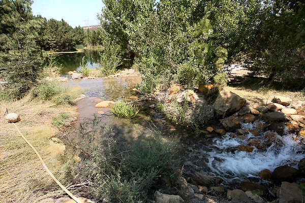 Gor.Pine.Lake.Stream.13