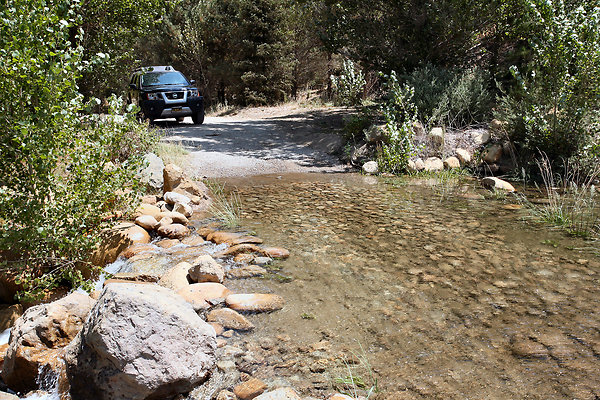 Gor.Pine.Lake.Stream.04