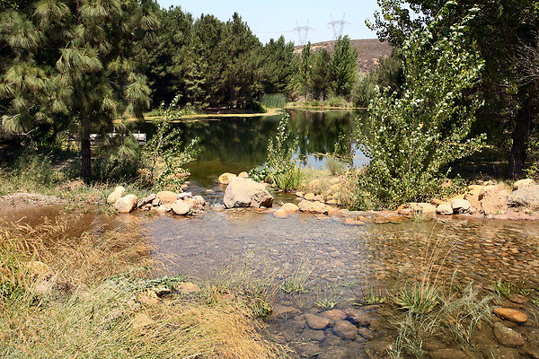 Gor.Pine.Lake.Stream.09