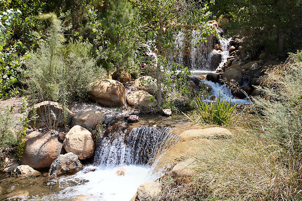 Gor.Pine.Lake.Stream.06