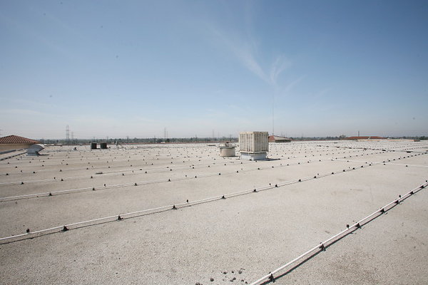Roof 0119 1