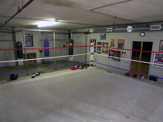 4179 boxing2