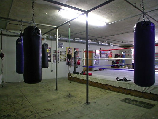 4179 boxing3