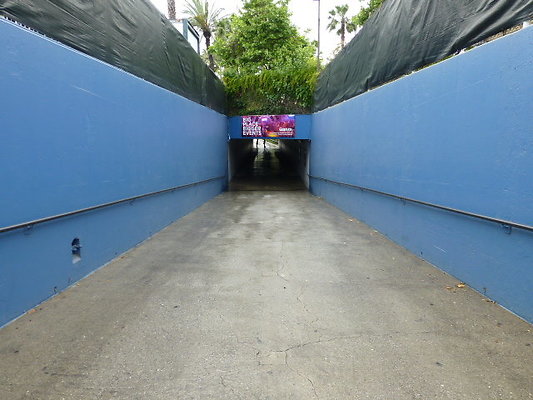 P1130590