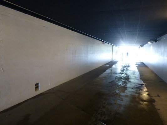 P1130589