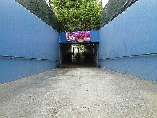 P1130591