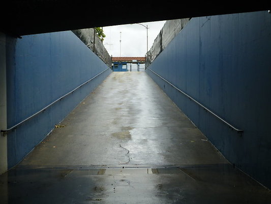 P1130594