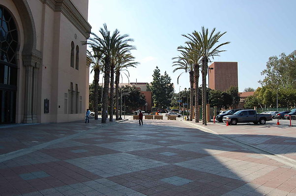 DSC 0045