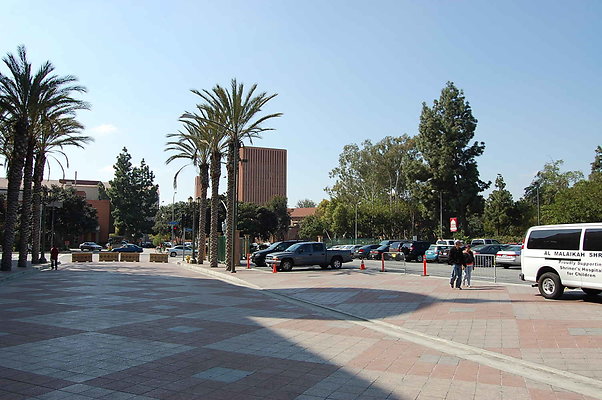 DSC 0057a