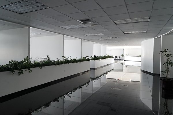 Clippenger.Ford.WC.85 Clippenger.Ford.WC.85