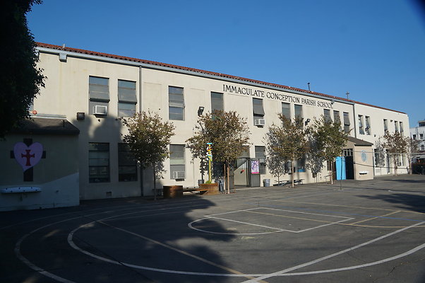 Immac.Con.BB.Court