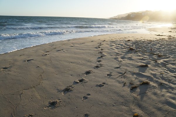 WR Tower5 38 WR Tower5 38