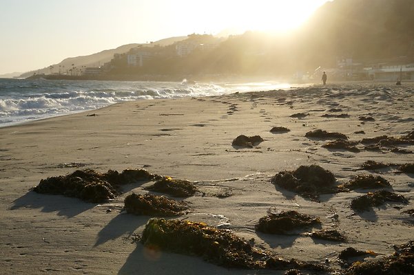 WR Tower5 36 WR Tower5 36