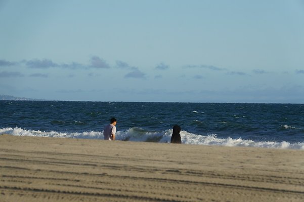 W.Rogers.Beach.Tower.18.52