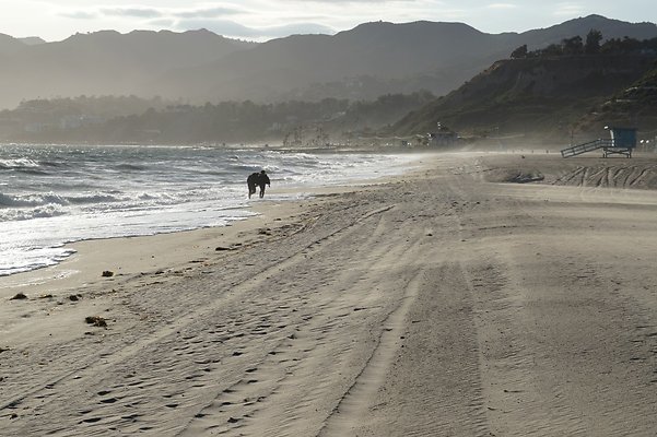W.Rogers.Beach.Tower.18.37