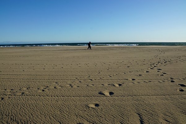 W.Rogers.Beach.Tower.18.58