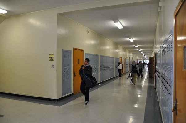 Reseda.HS.29