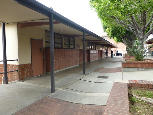 P1130803