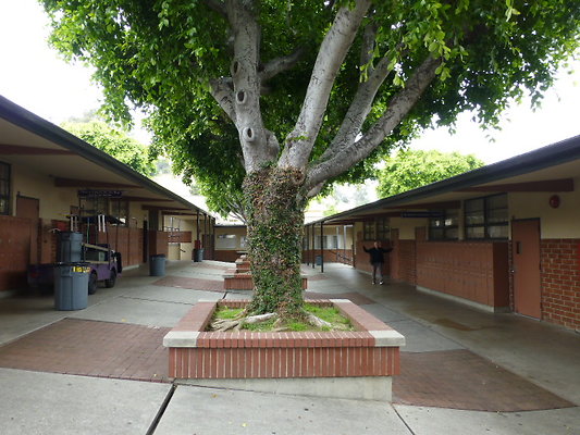 P1130801