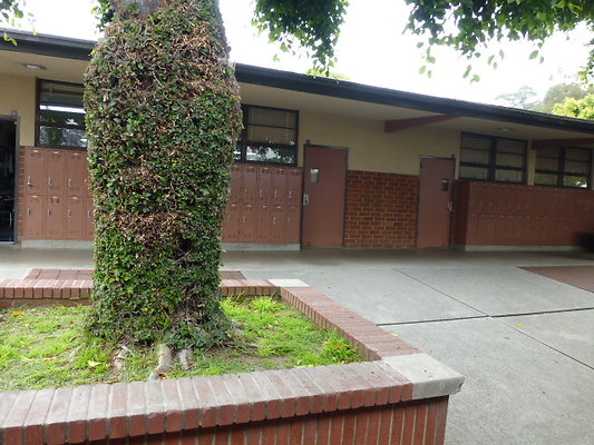 P1130799