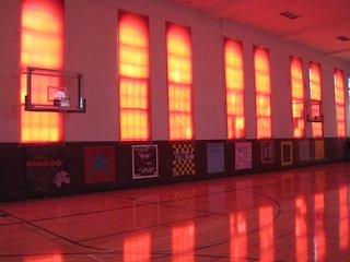 IMG 7557
