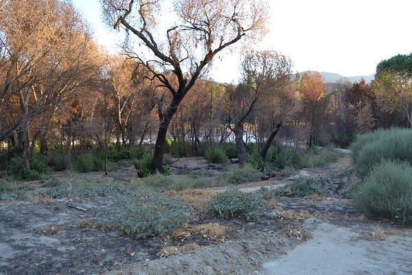 Polsa.Rosa.Old.Barn.23 Polsa.Rosa.Old.Barn.23