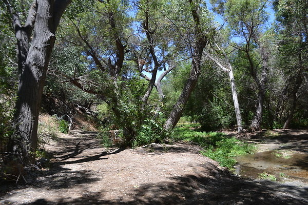 Polsa.Rosa.Old.Barn.02 Polsa.Rosa.Old.Barn.02