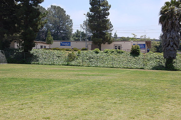 DSC 0021