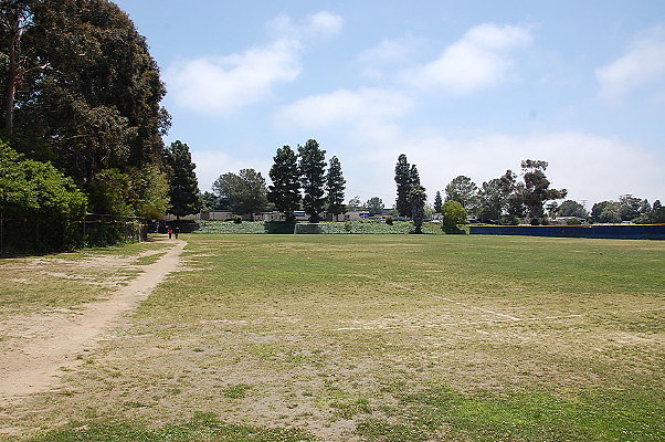 DSC 0007