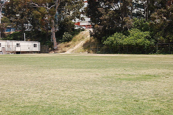 DSC 0017