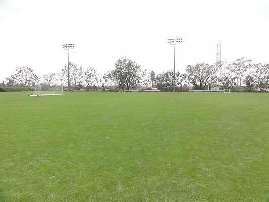 DSC04568