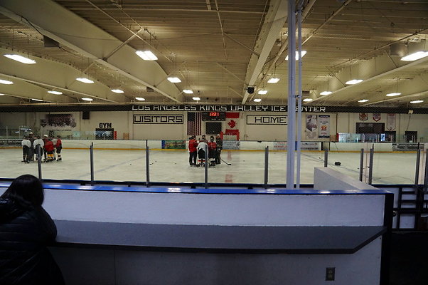 LA.Kings.Ice.Main.Ice.02