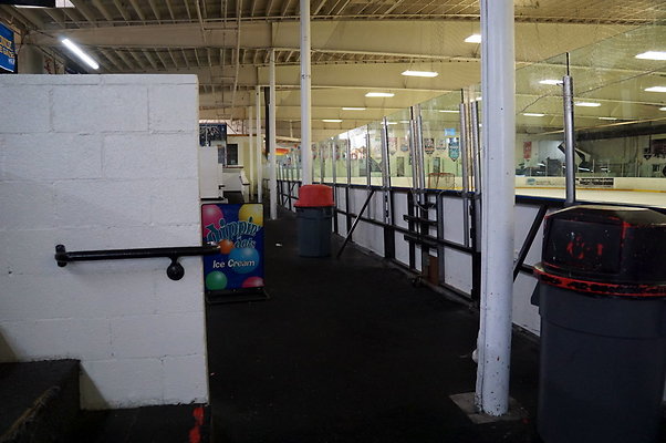 LA.Kings.Ice.Main.Ice.40