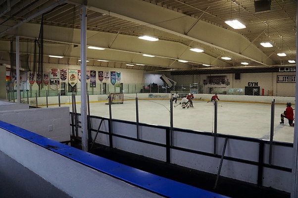 LA.Kings.Ice.Main.Ice.16