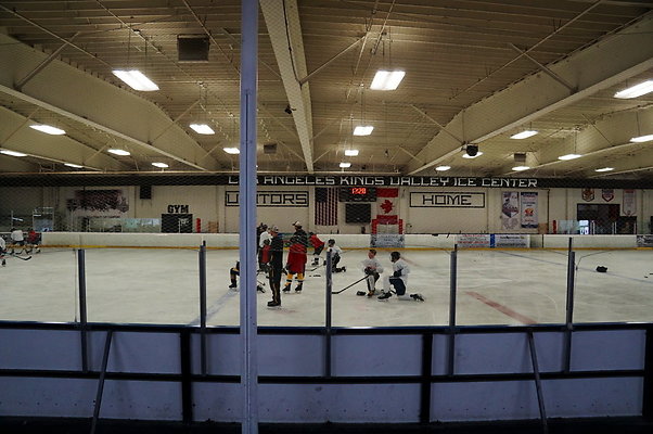 LA.Kings.Ice.Main.Ice.15
