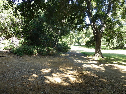 P1140346