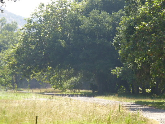 P1140336