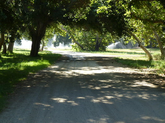 P1140303