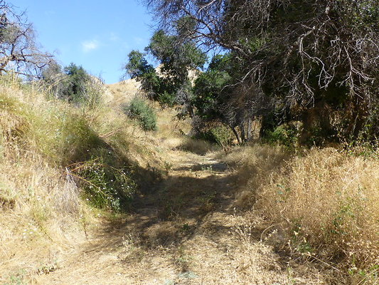 P1140478