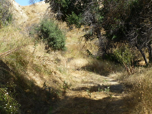 P1140479