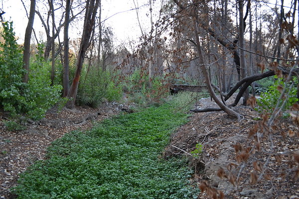 Polsa.Rosa.Old.Barn.31