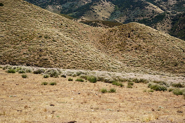 Caravan.West.19