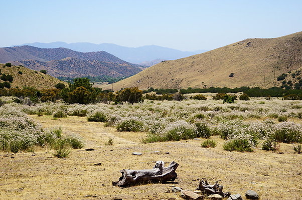 Caravan.West.50
