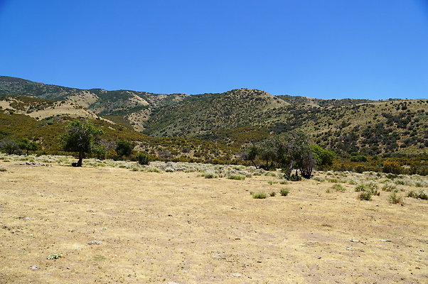 Caravan.West.31